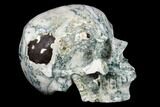 Realistic, Polished Tree Agate Skull #116698-3